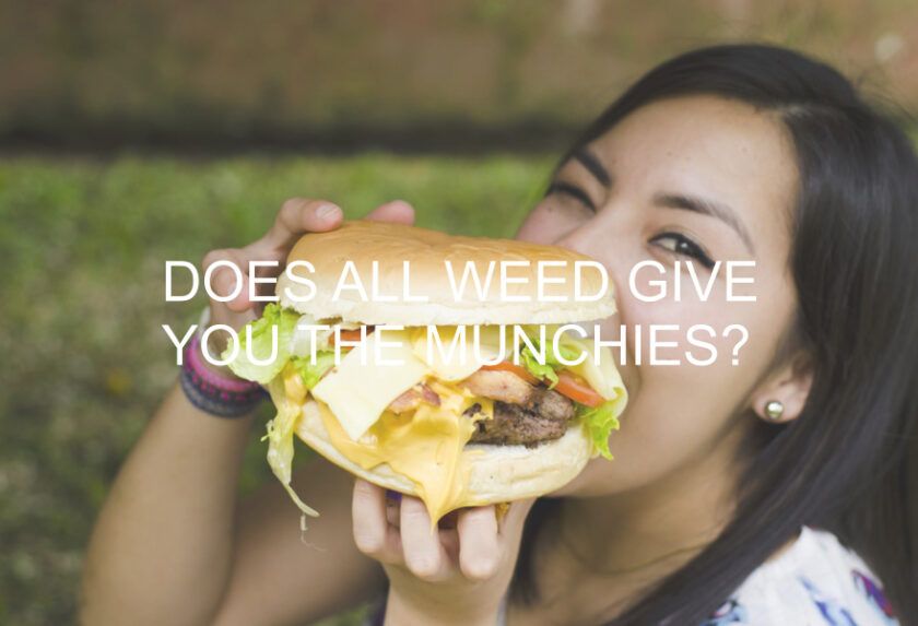 Does All Weed Give You the Munchies?