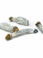 blue-goba-small-pile