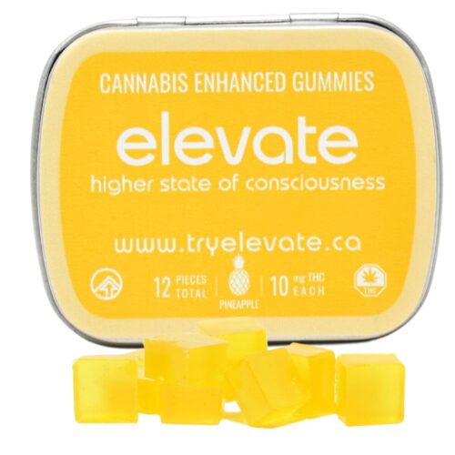 Elevate - Pineapple 120mg