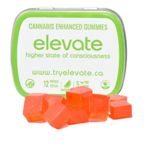 Elevate - Watermelon 1:1