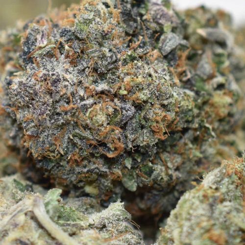 marijuana topshelf cannabis weed canadian cbd indica sativa hybrid top shelf express AAAA+ certified tyson macro