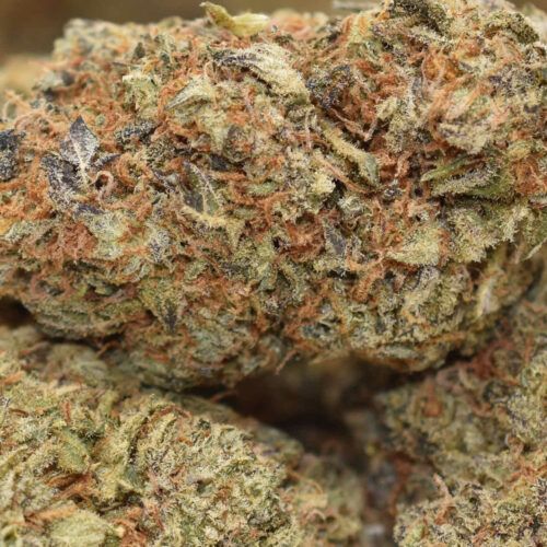 marijuana topshelf cannabis weed canadian cbd indica sativa hybrid top shelf express berry garcia