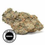 marijuana topshelf cannabis weed canadian cbd indica sativa hybrid top shelf express gator breath AAAA+