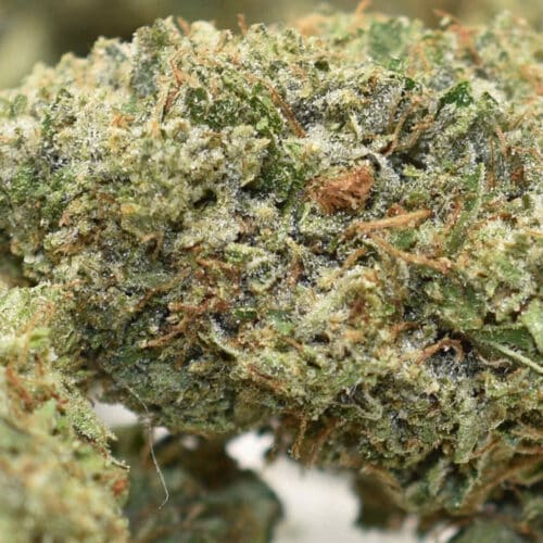marijuana topshelf cannabis weed canadian cbd indica sativa hybrid top shelf express stinky pinky