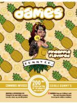 Dames-pineapple