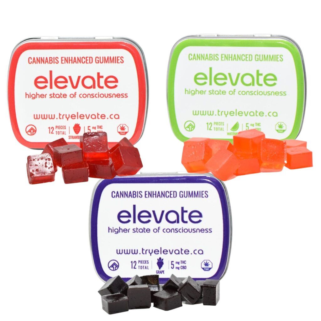 Elevate Gummies 11 CBD/THC Top Shelf Express