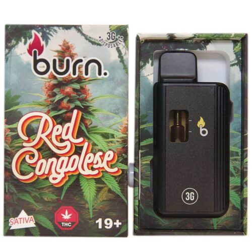 Burn Disposable Vapes – Red Congolese