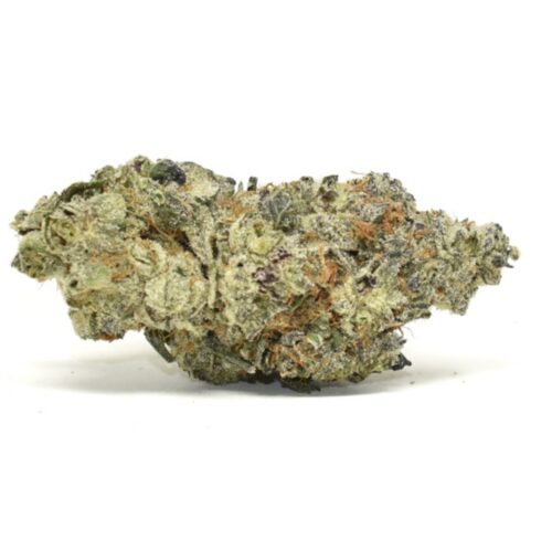 White Truffle