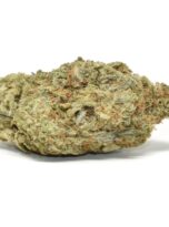 mac-daddy-0325