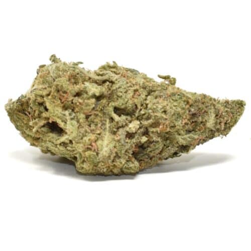 berry jane hybrid