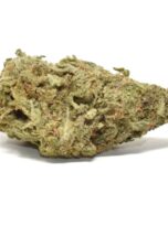 berry-jane-0325