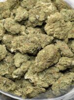 berry-jane-bag-0325
