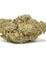 blue-coma-0325