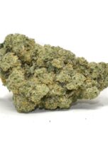 galactic-runtz-0325