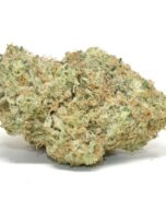 ghost-pebbles-95-0325