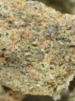 london-pound-cake-macro-0325