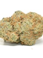sour-tangie-0325