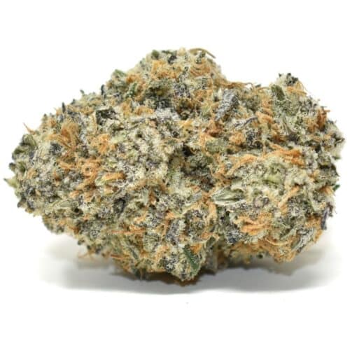 ice age strain