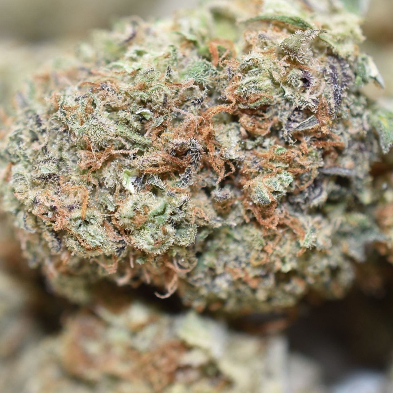 Blackberry OG - Image 3