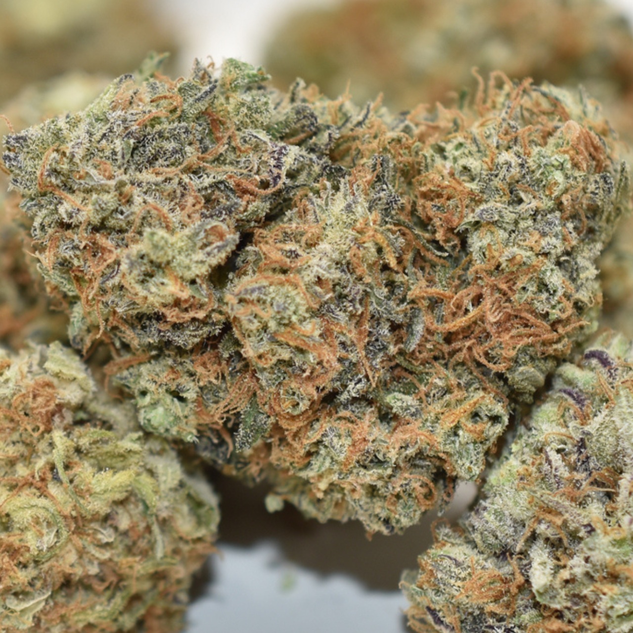 Blackberry OG - Image 2