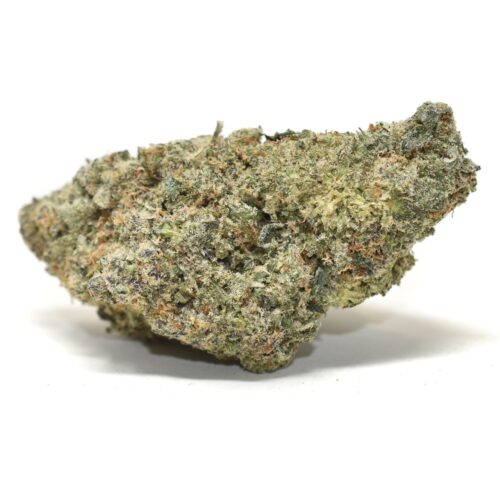 Jungle Cake