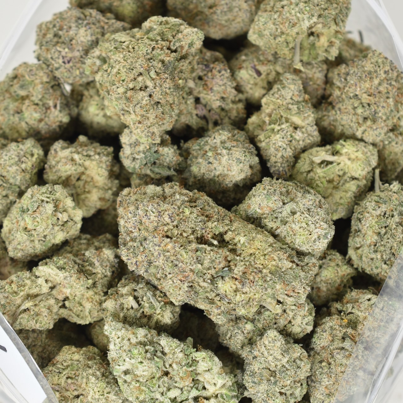Jungle Cake - Image 2