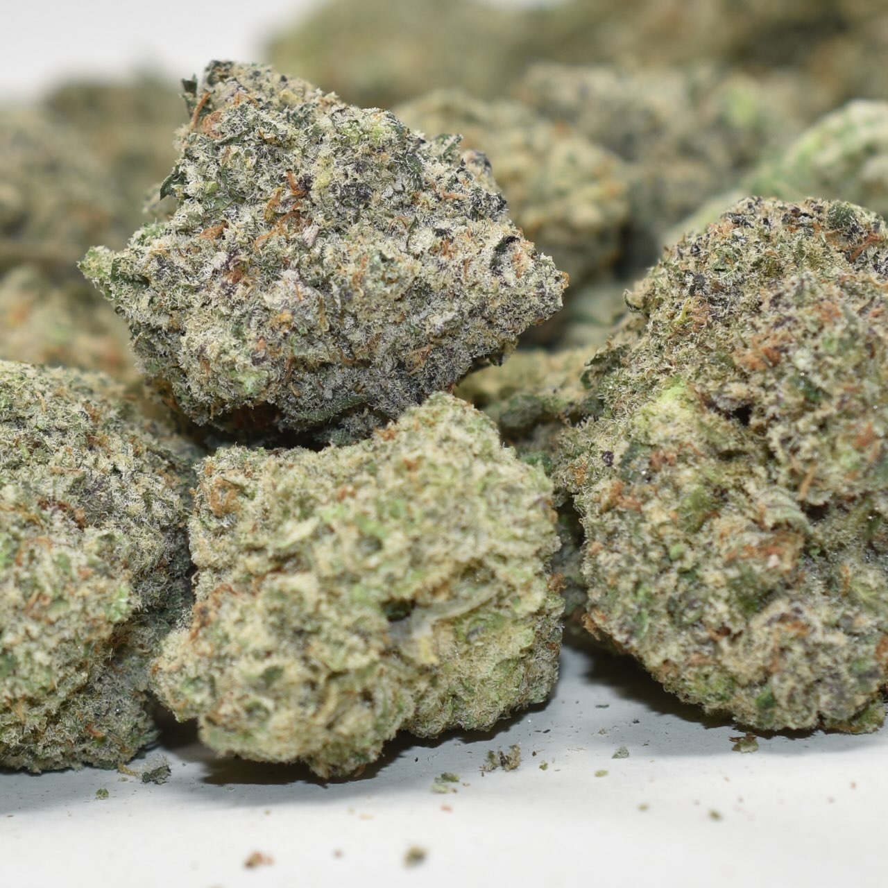 Jungle Cake - Image 3