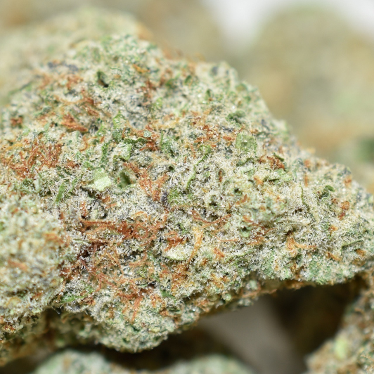 Trippy Pebbles - Image 3