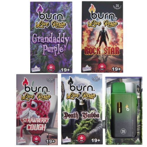Burn 2 Gram Live Resin Vape Pen