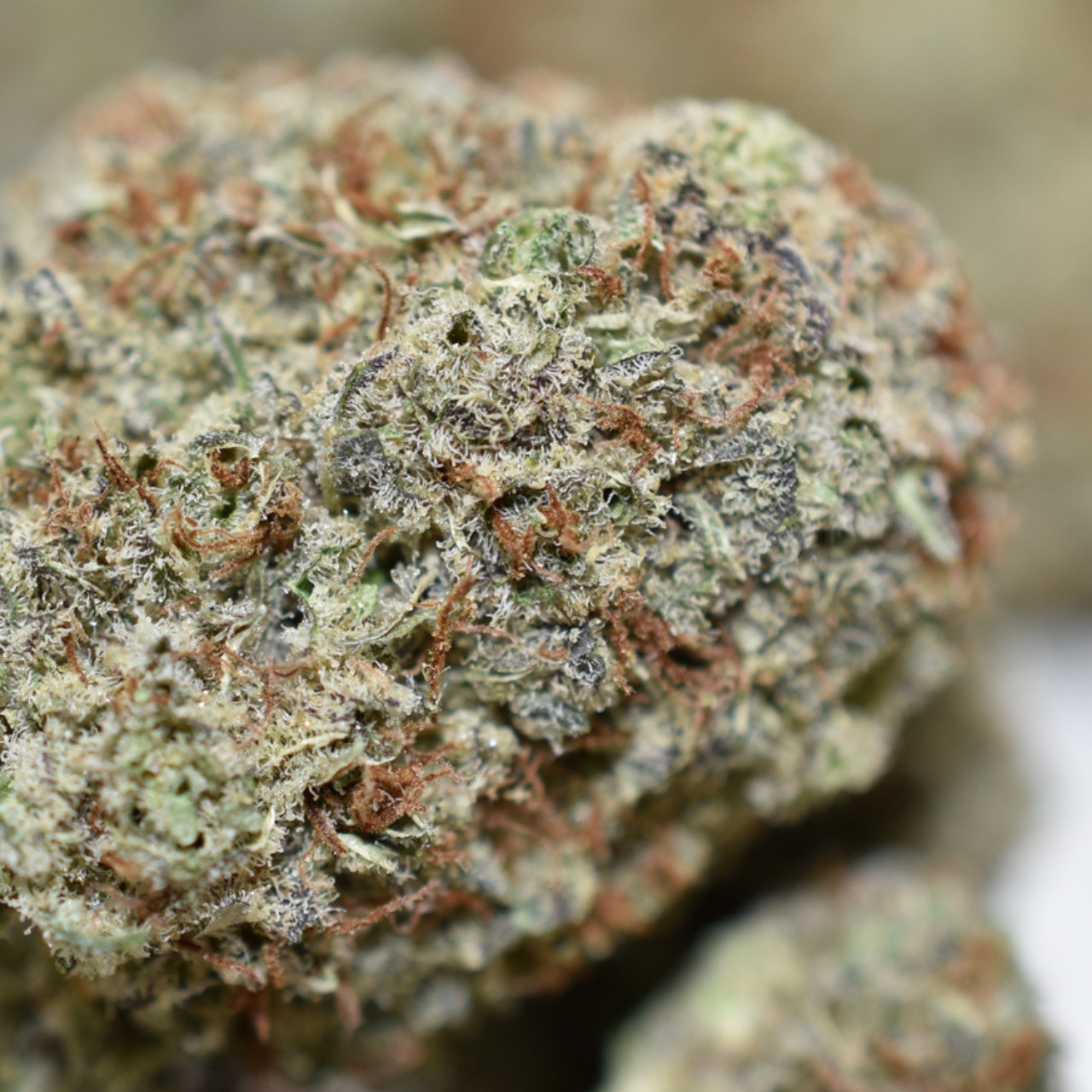 Super Lemon Haze - Image 3