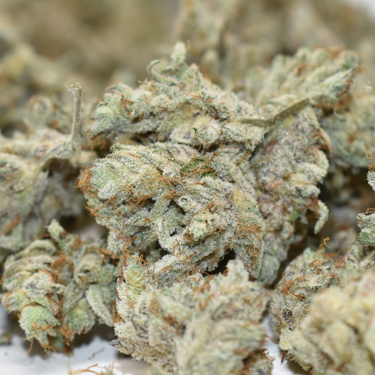 Super Lemon Haze - Image 3