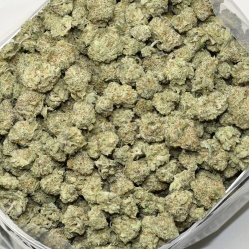 Banana Pudding Midsize Nugs