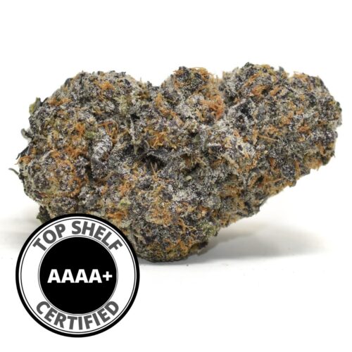 Frosted Gelato