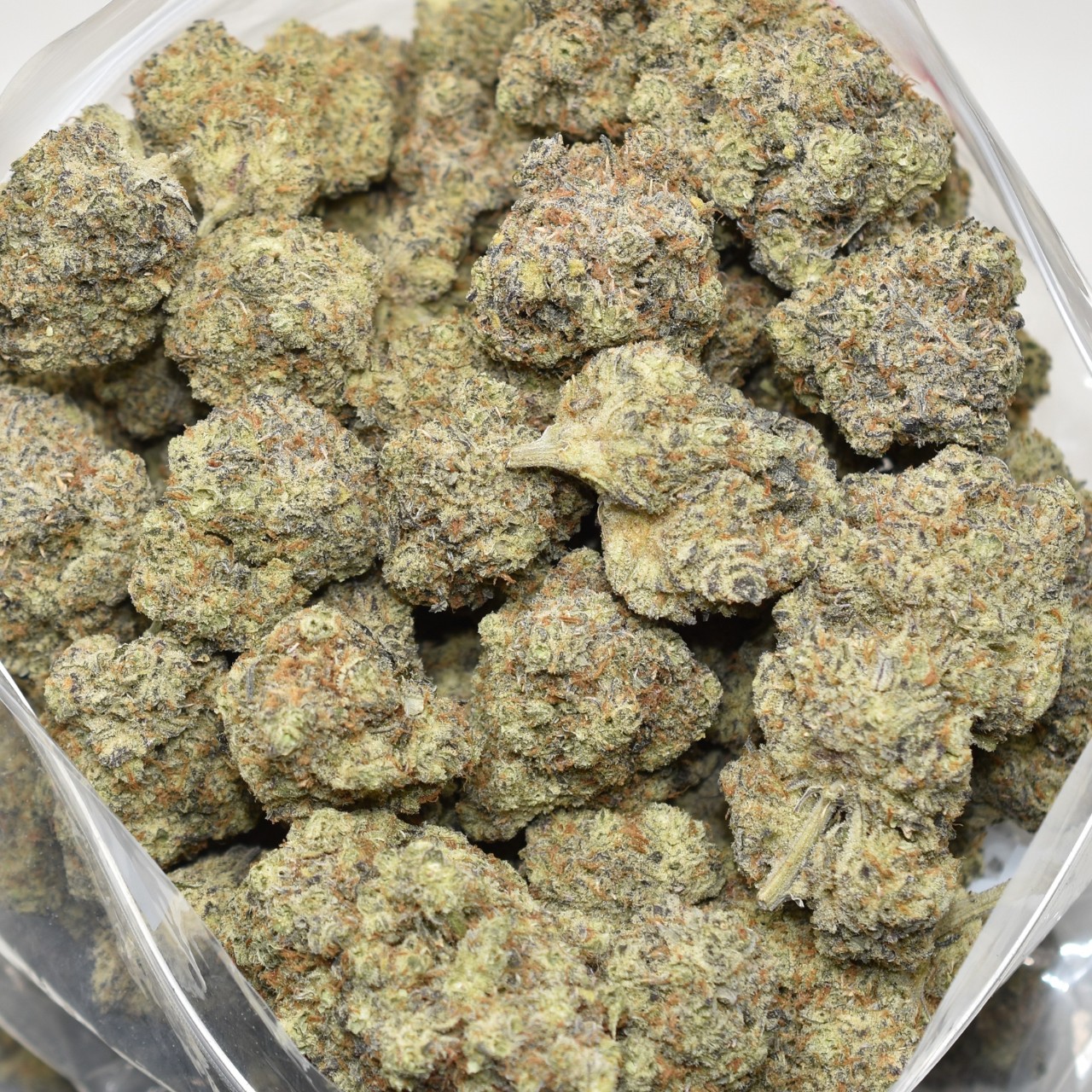 Gelato X - Image 3