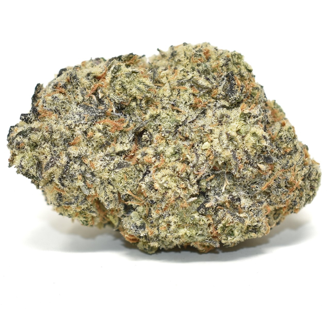 Gelato X