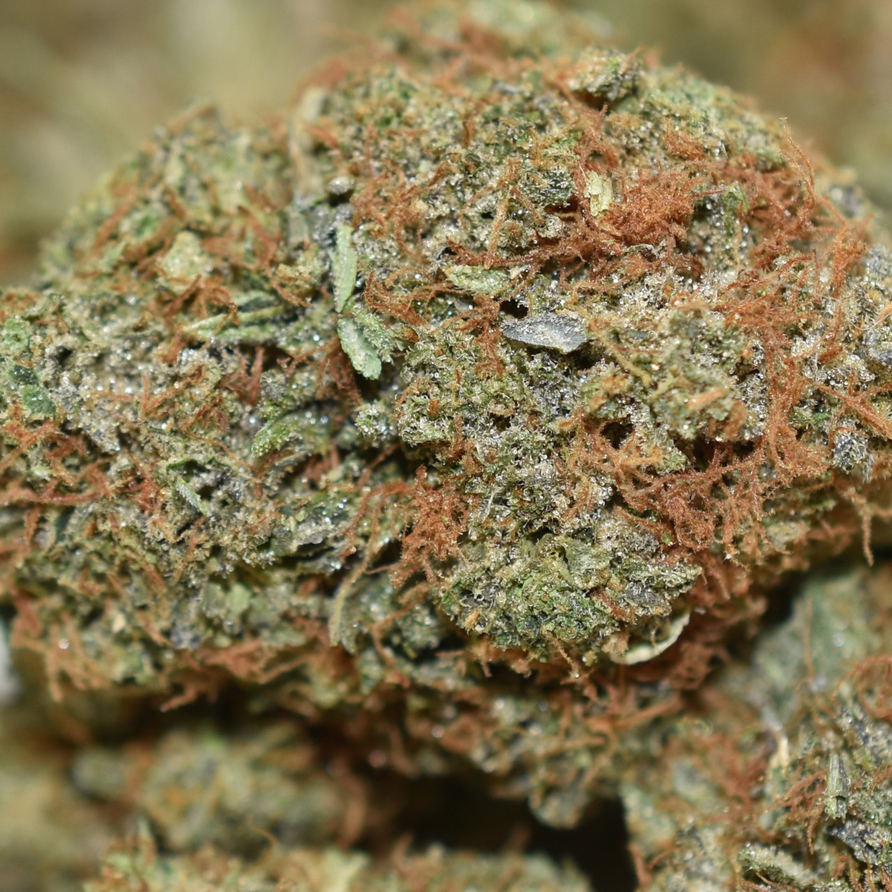 Astro Pink Kush - Image 3