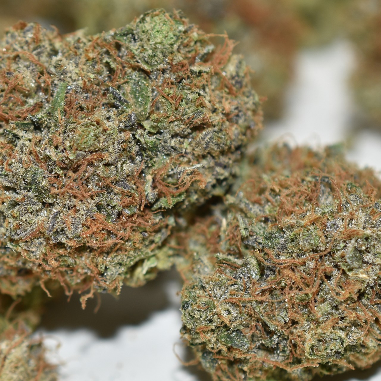 Astro Pink Kush - Image 4