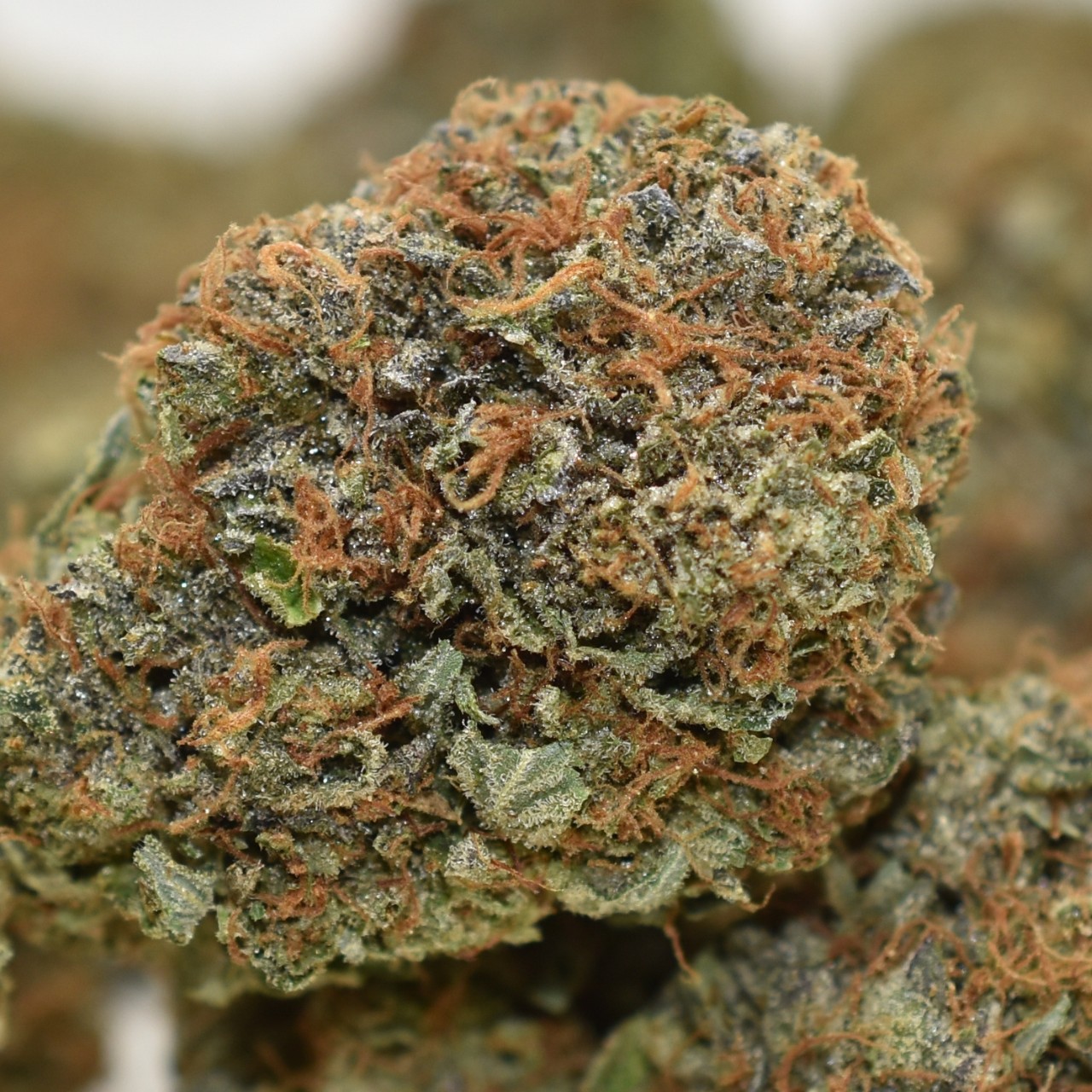 Bubba Kush - Image 3
