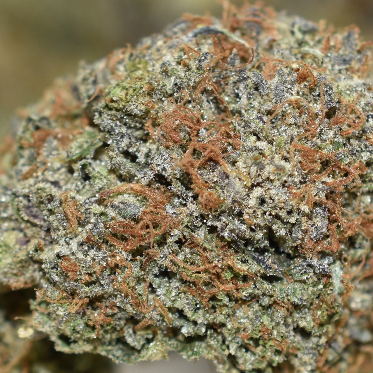 Bubba Kush - Image 2