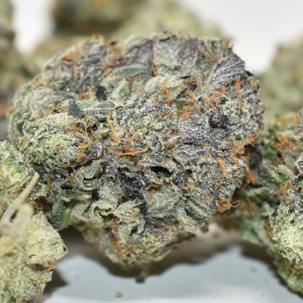 Godfather OG - Image 3