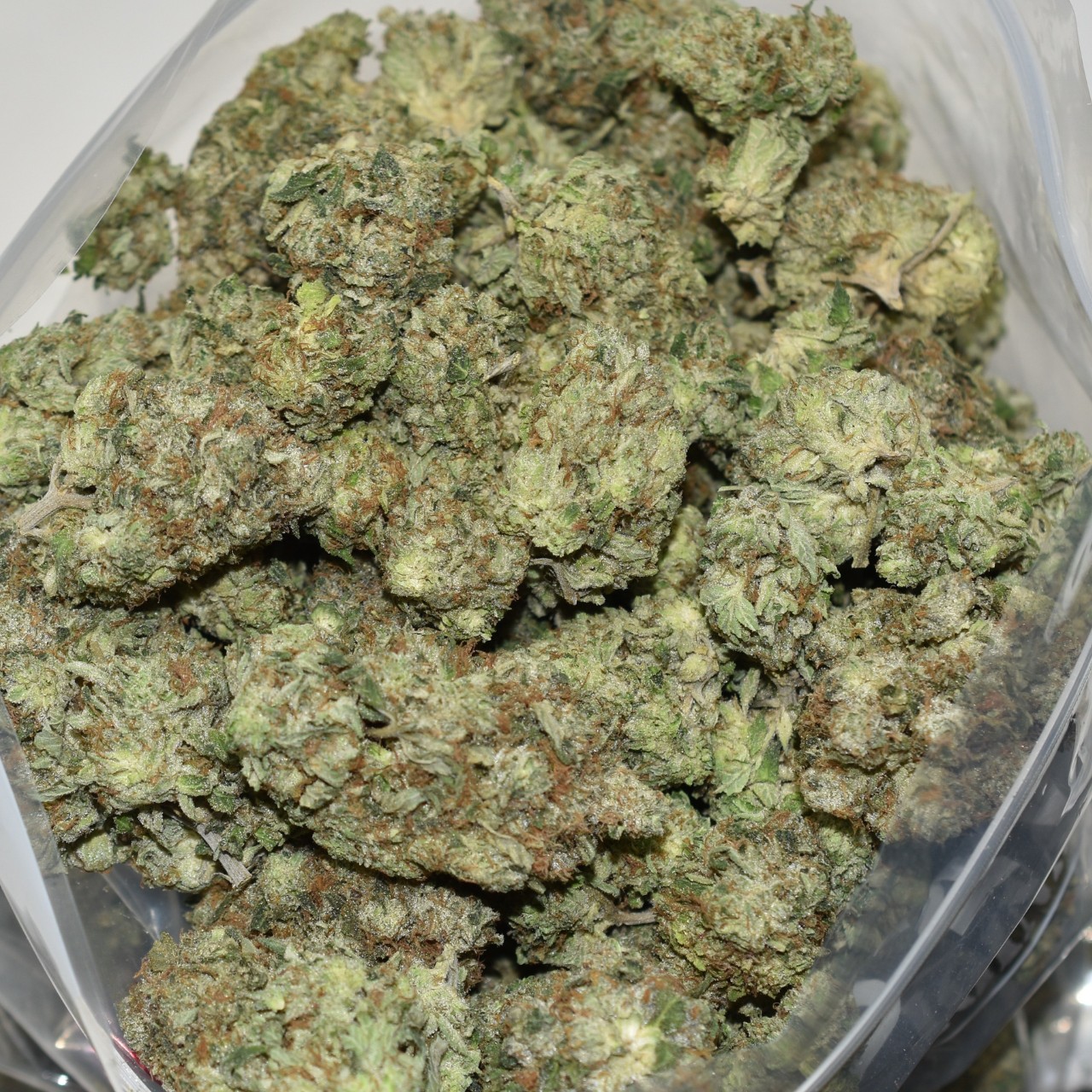 Godfather OG - Image 3