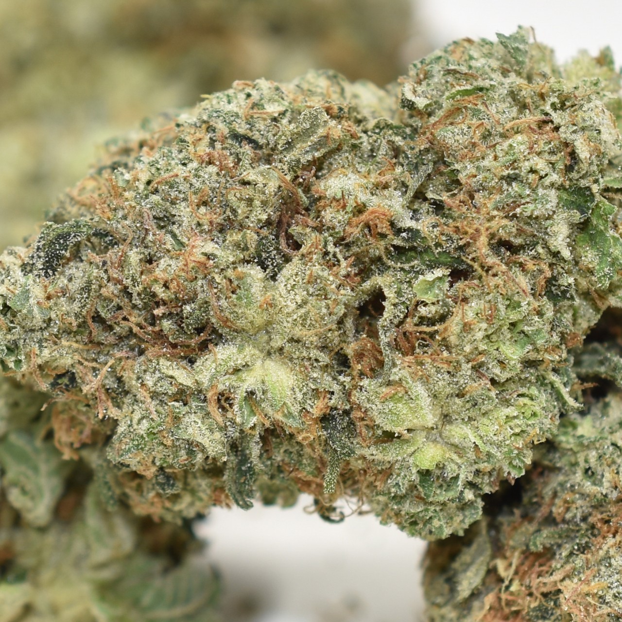 Godfather OG - Image 2