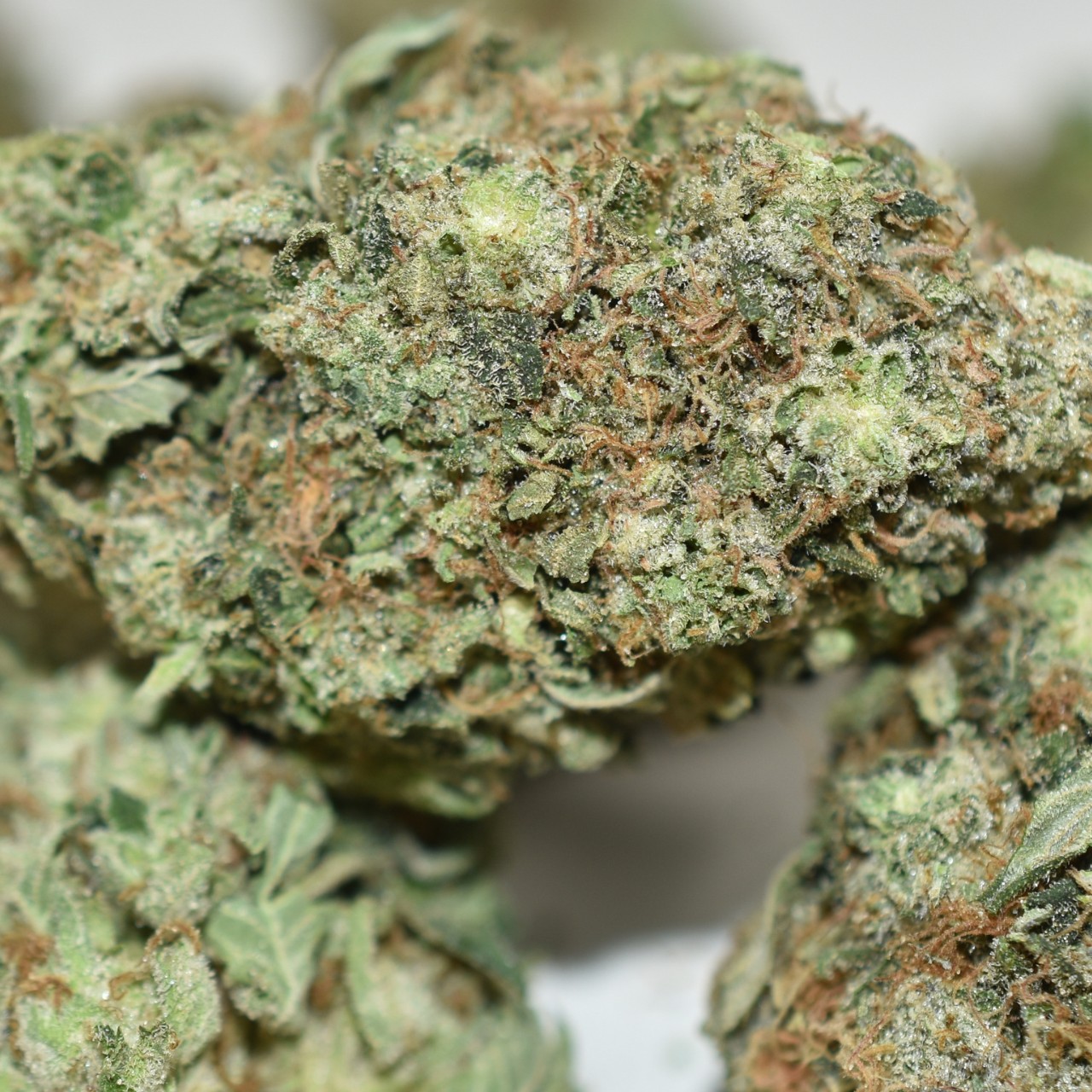 Godfather OG - Image 4