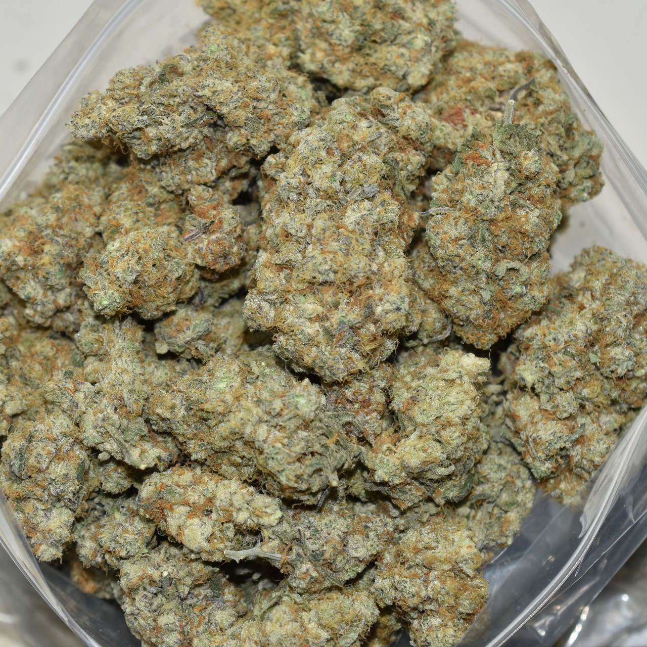 Grape Stomper - Image 3