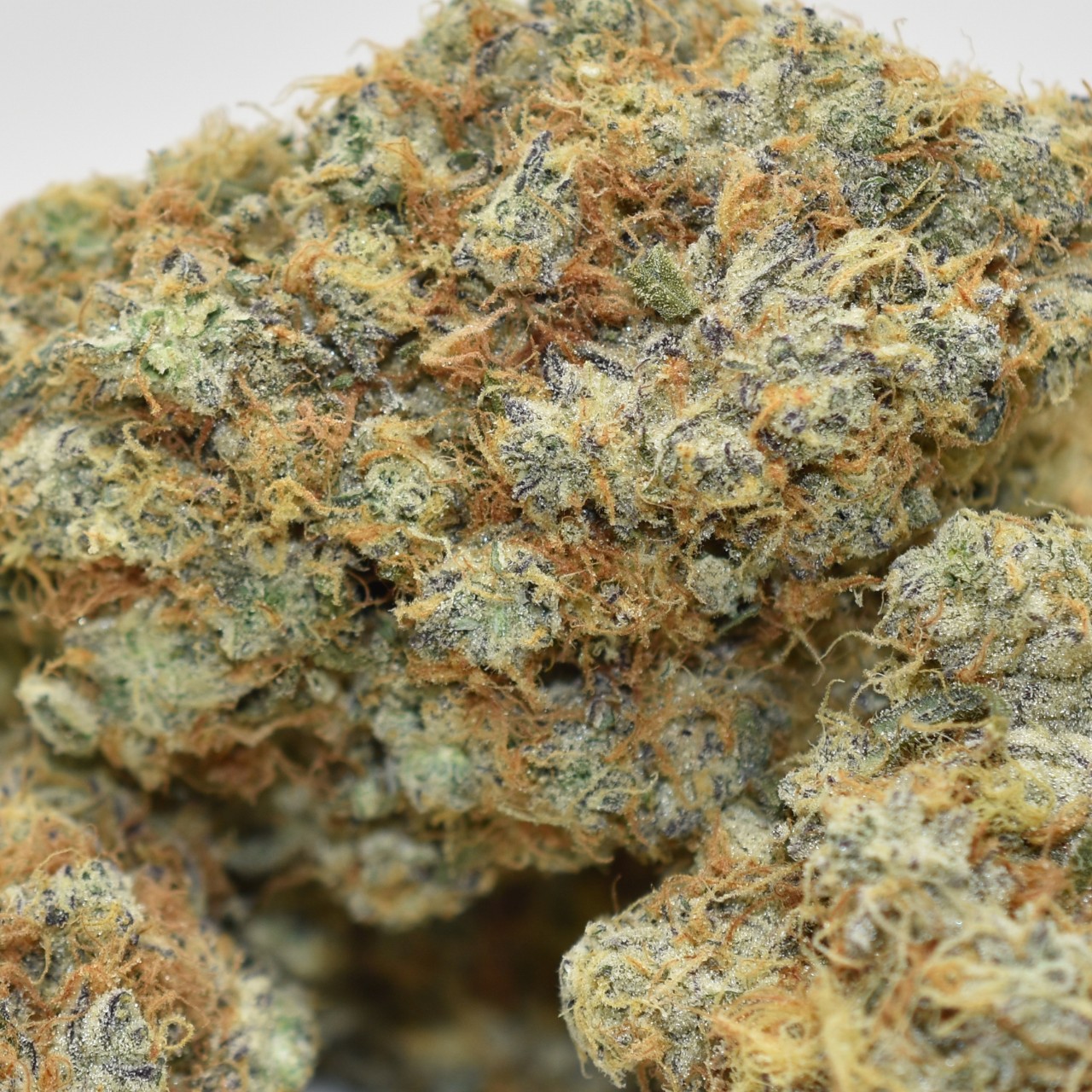 Grape Stomper - Image 2