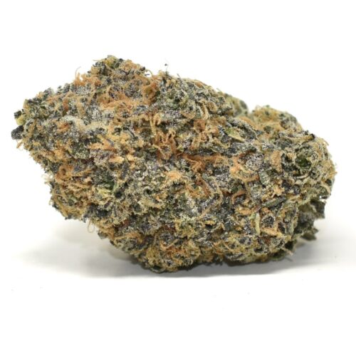 Lemon Cherry Gelato