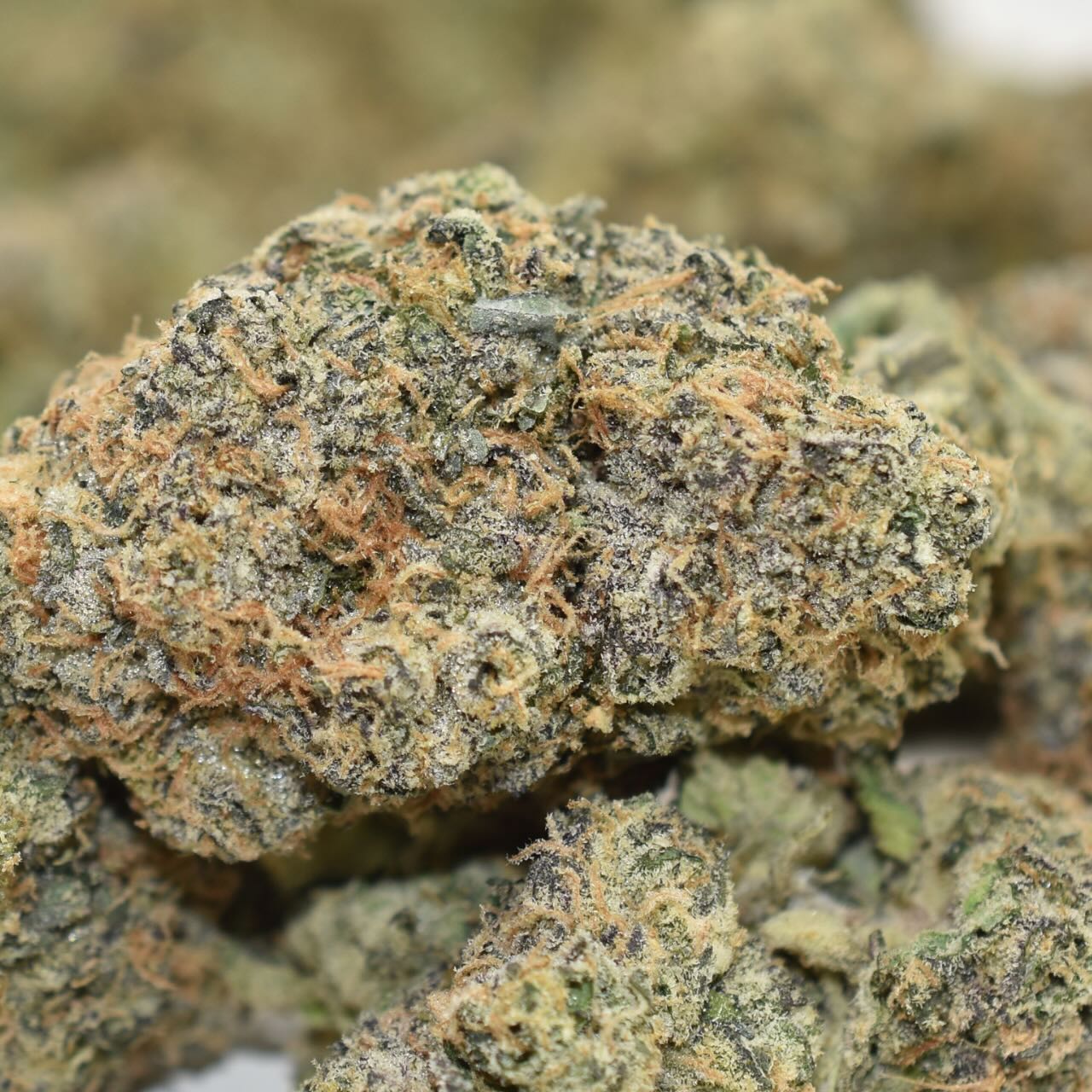 Lemon Cherry Gelato - Image 4