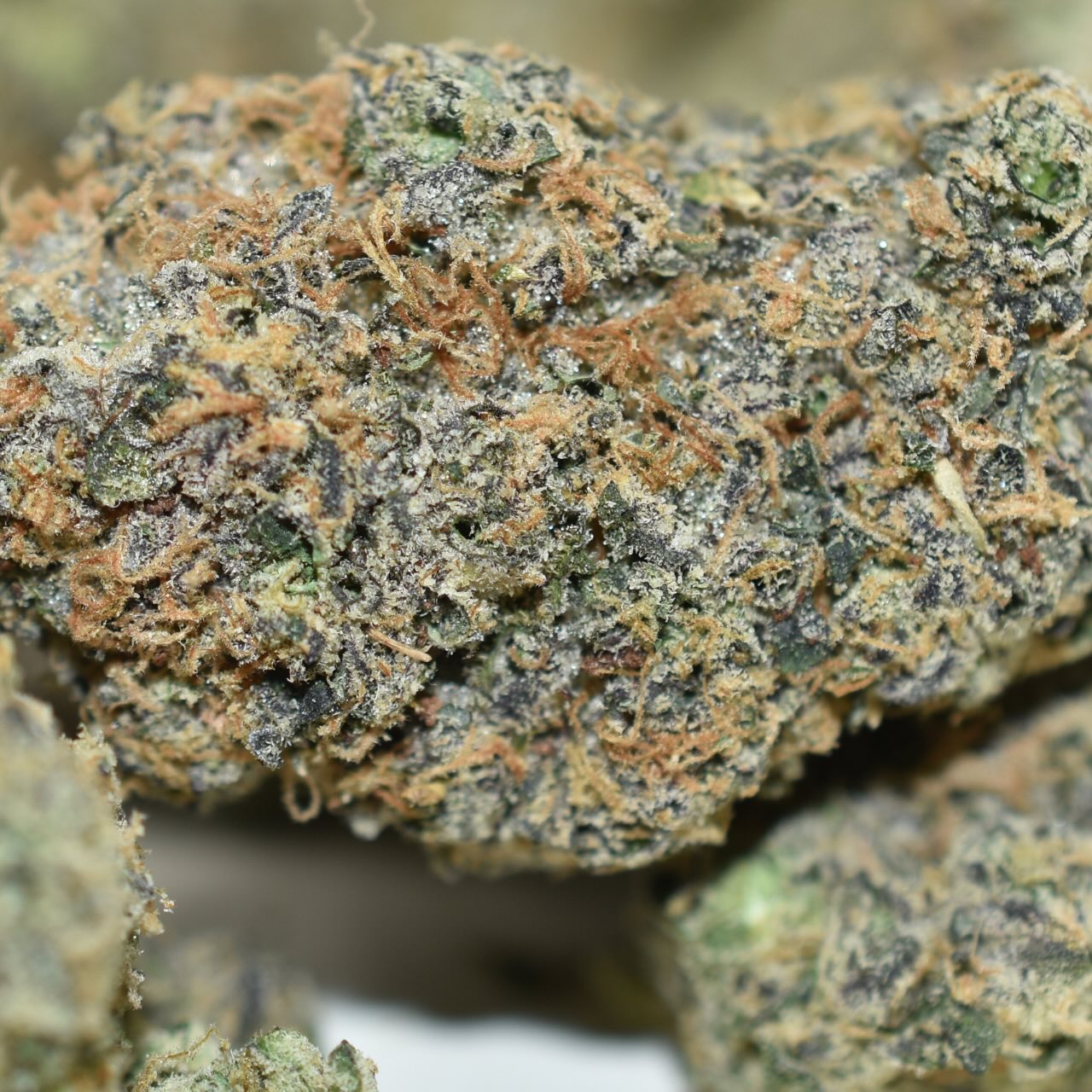 Lemon Cherry Gelato - Image 3