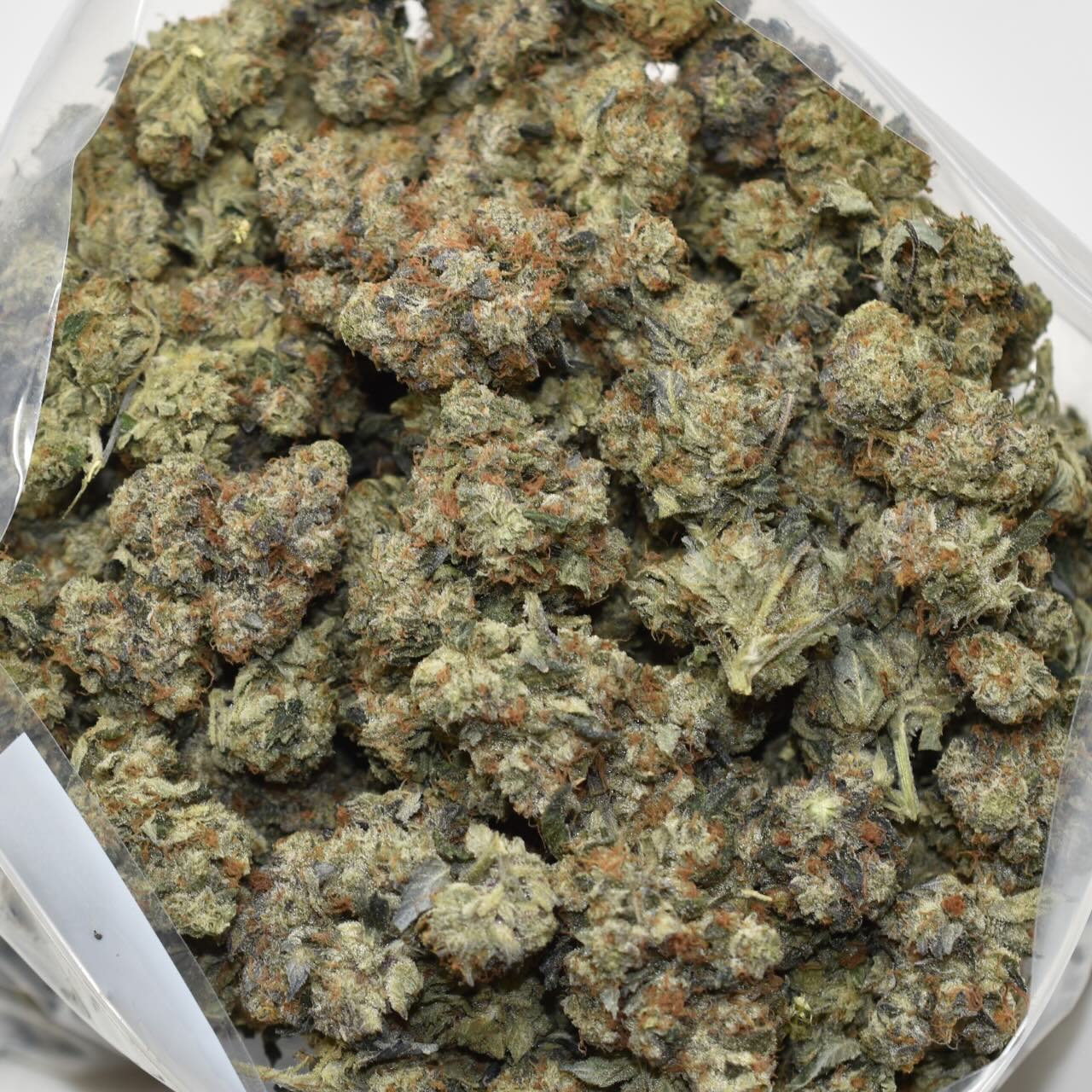 Platinum Rockstar - Image 2
