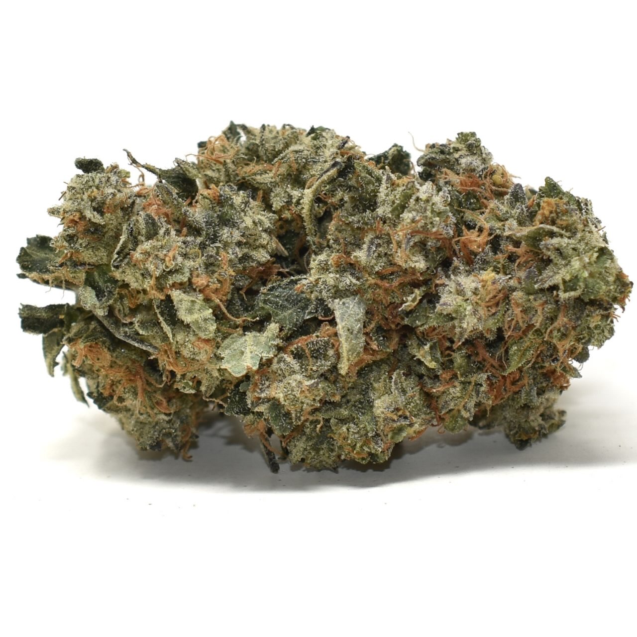 Platinum Rockstar